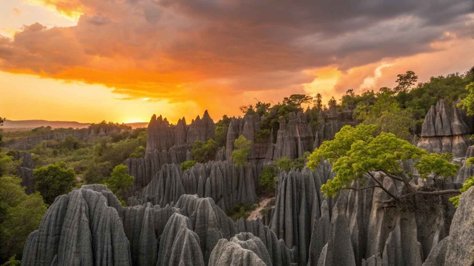 Tsingy de Bemaraha, Madagascar