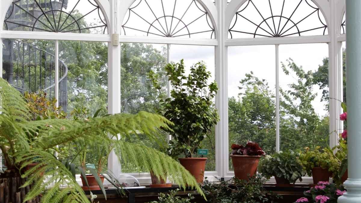 What Victorian Plant Parents Knew That We Forgot