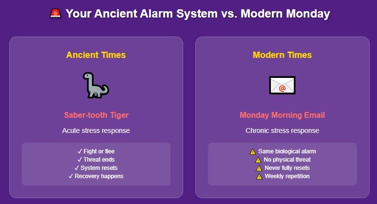 Your Body's Ancient Alarm System Is Stuck on "Monday Mode"