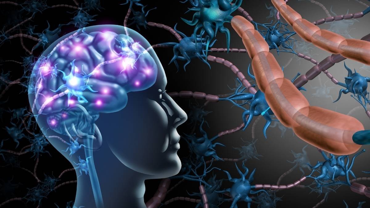 A single night without sleep ages your brain by 1-2 years.