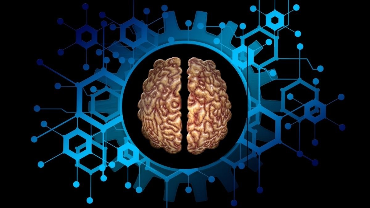 Einstein's Brain: The Ultimate Humbling