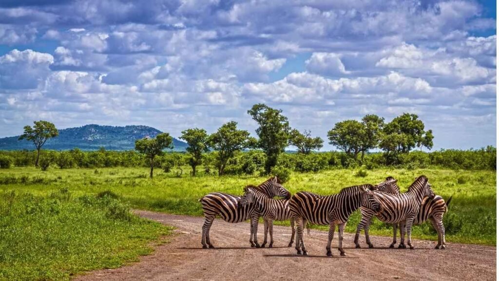 Kruger National Park, South Africa