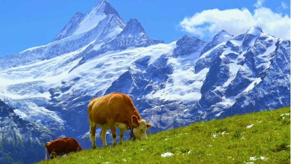 Swiss Alps, Switzerland