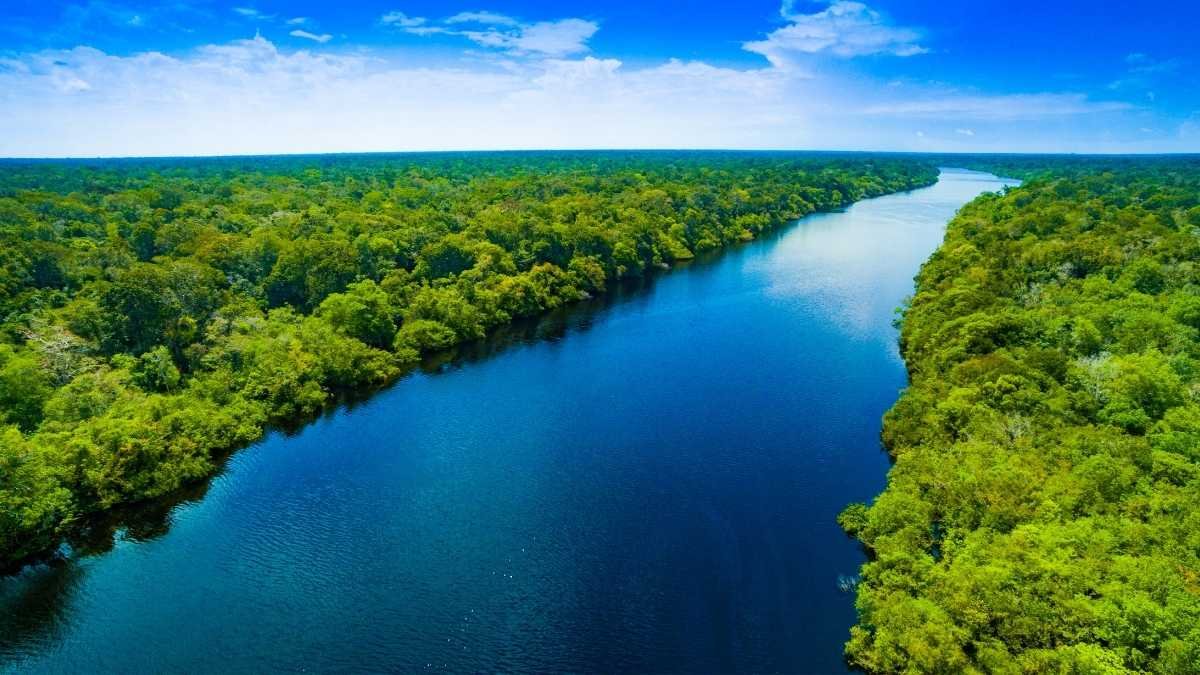 The Amazon is Breaking Down