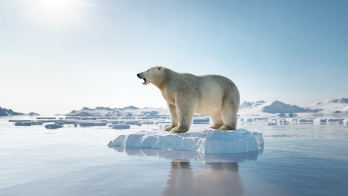 The Arctic is Melting (Literally)