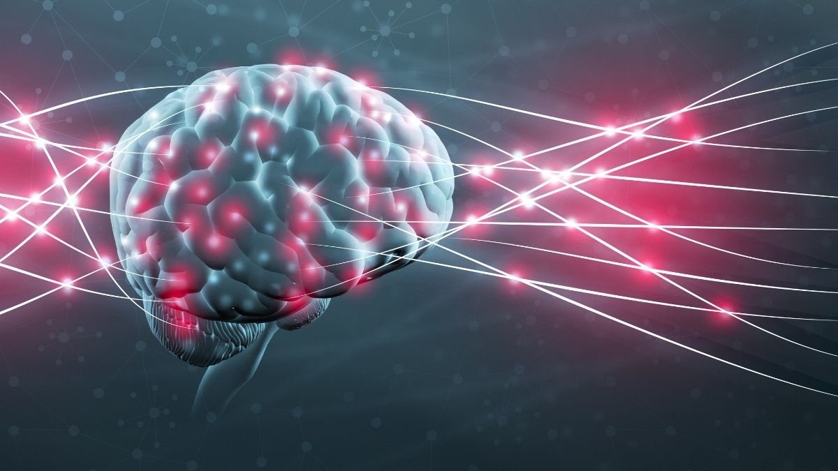 The Brain Connection You Didn't See Coming
