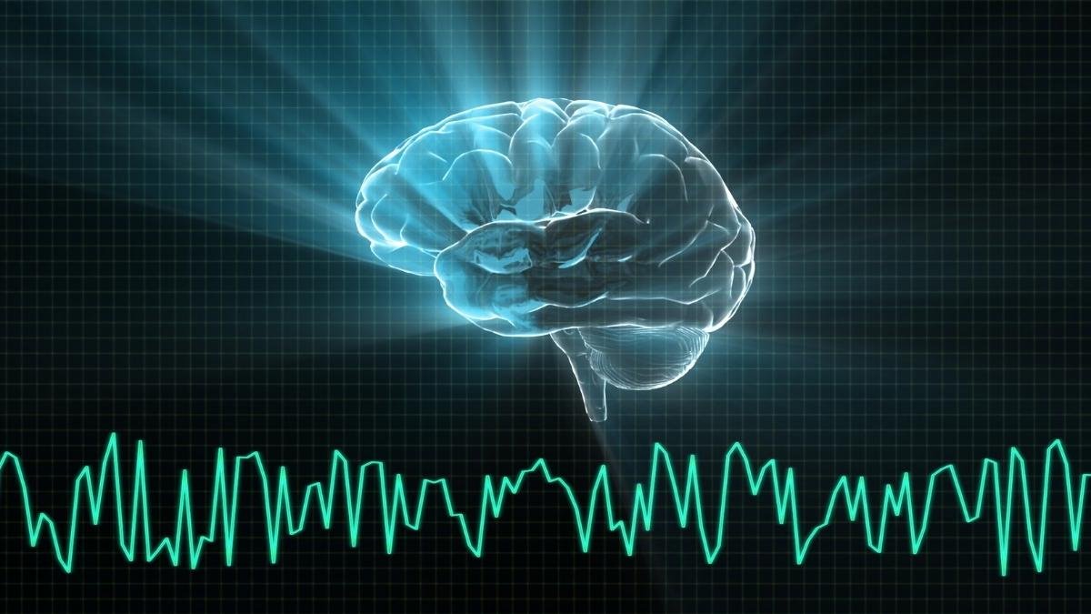 How Your Brain Waves Orchestrate the Ultimate Deep Clean