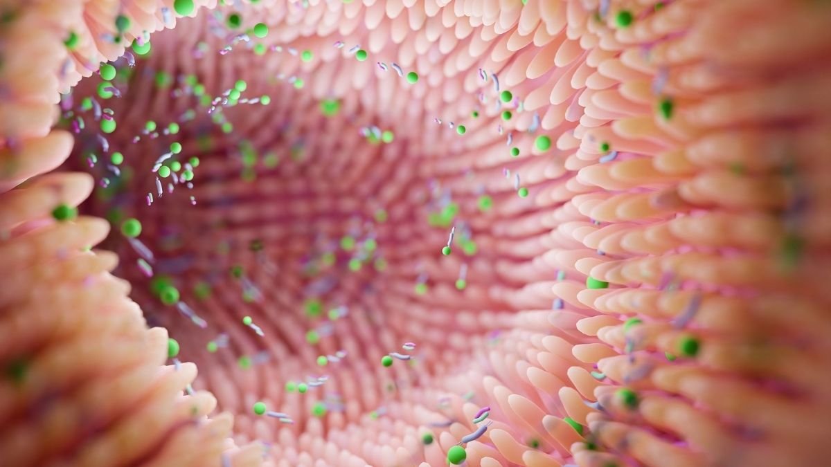 CSI Microbiome Edition