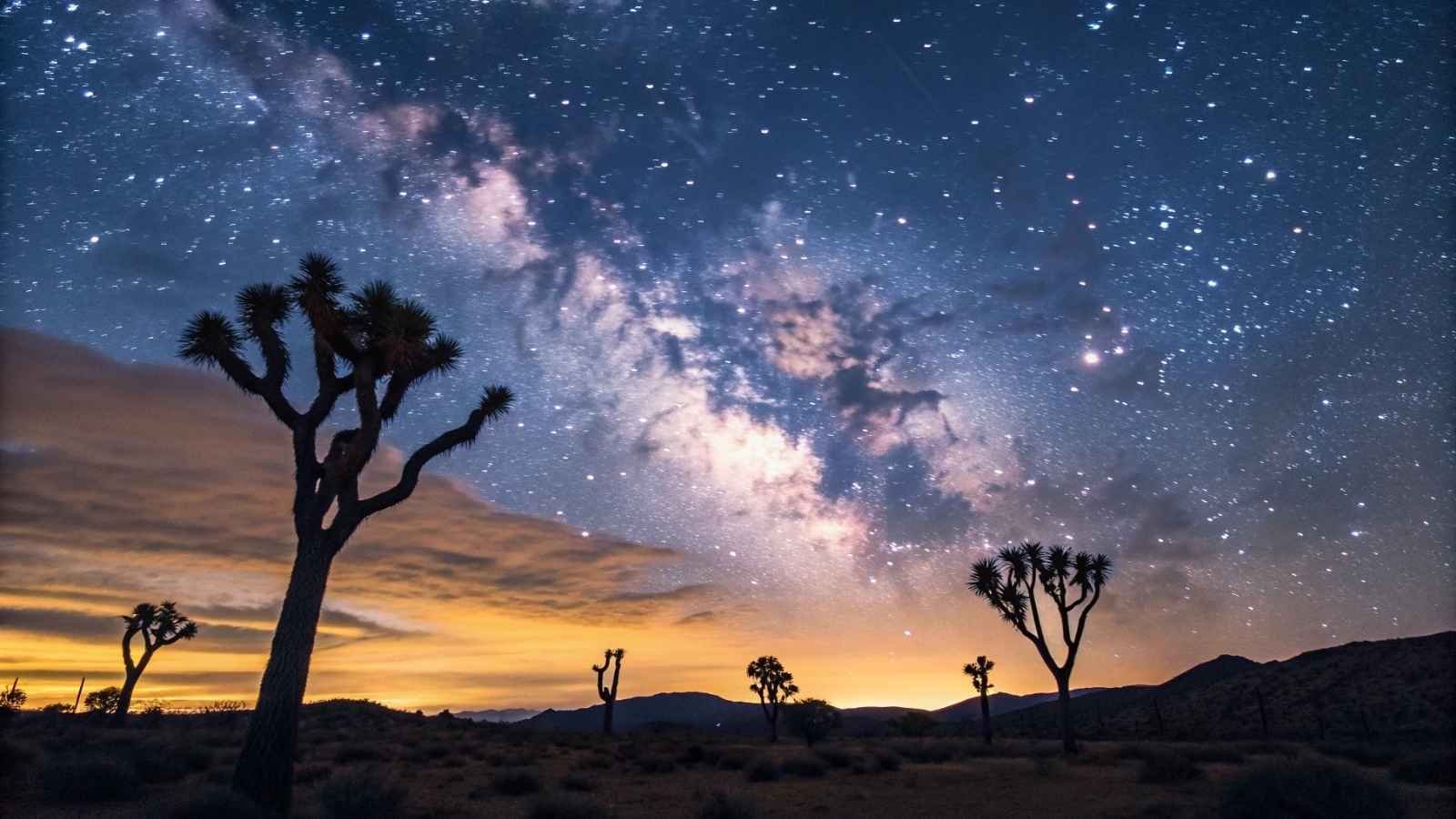 Joshua Tree National Park