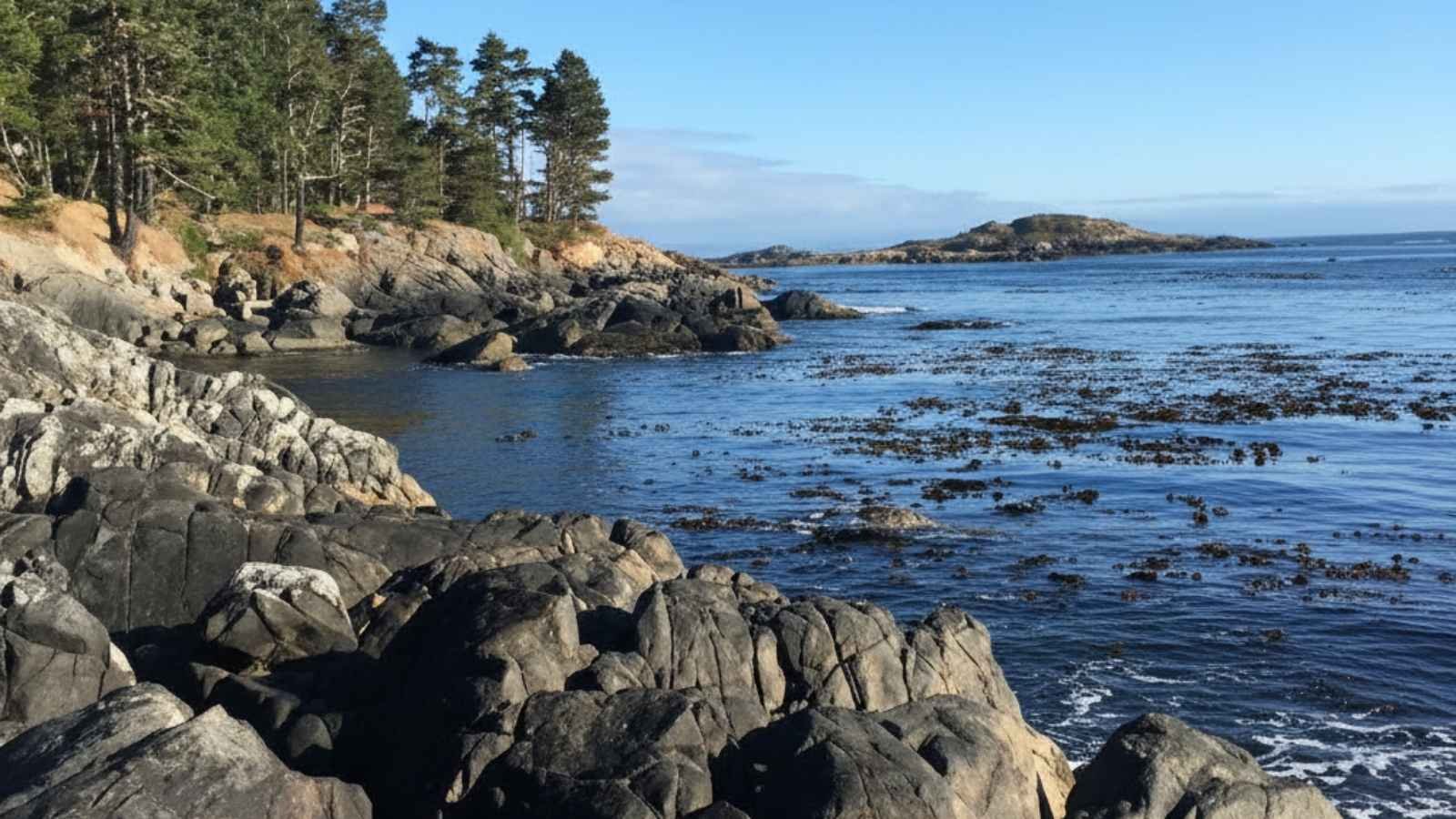 Lopez Island, Washington