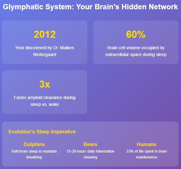 The Mind-Blowing Discovery That Changes Everything About Sleep