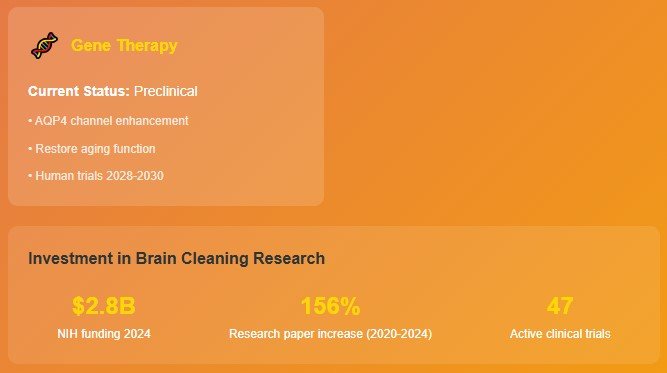 The Surprising Future of Brain Cleaning Enhancement