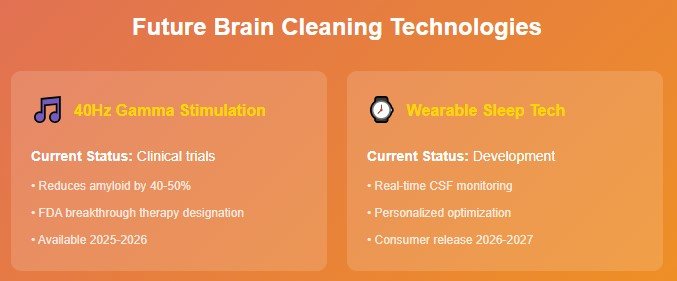 The Surprising Future of Brain Cleaning Enhancement