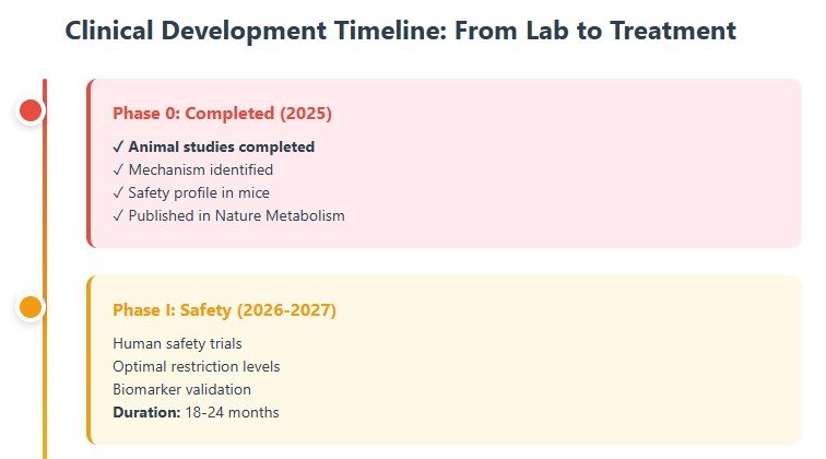 The Timeline: When Could This Actually Help People?