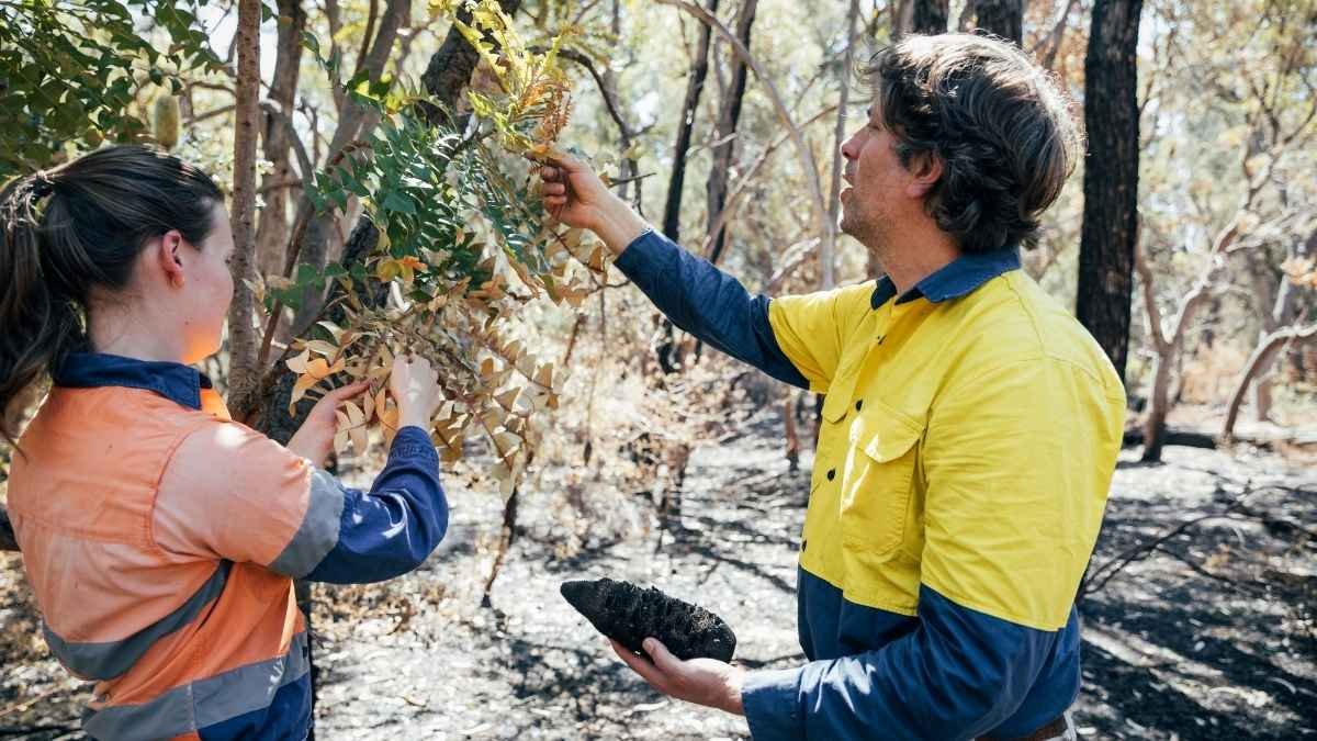 Why Our Current Conservation Approach Won't Work