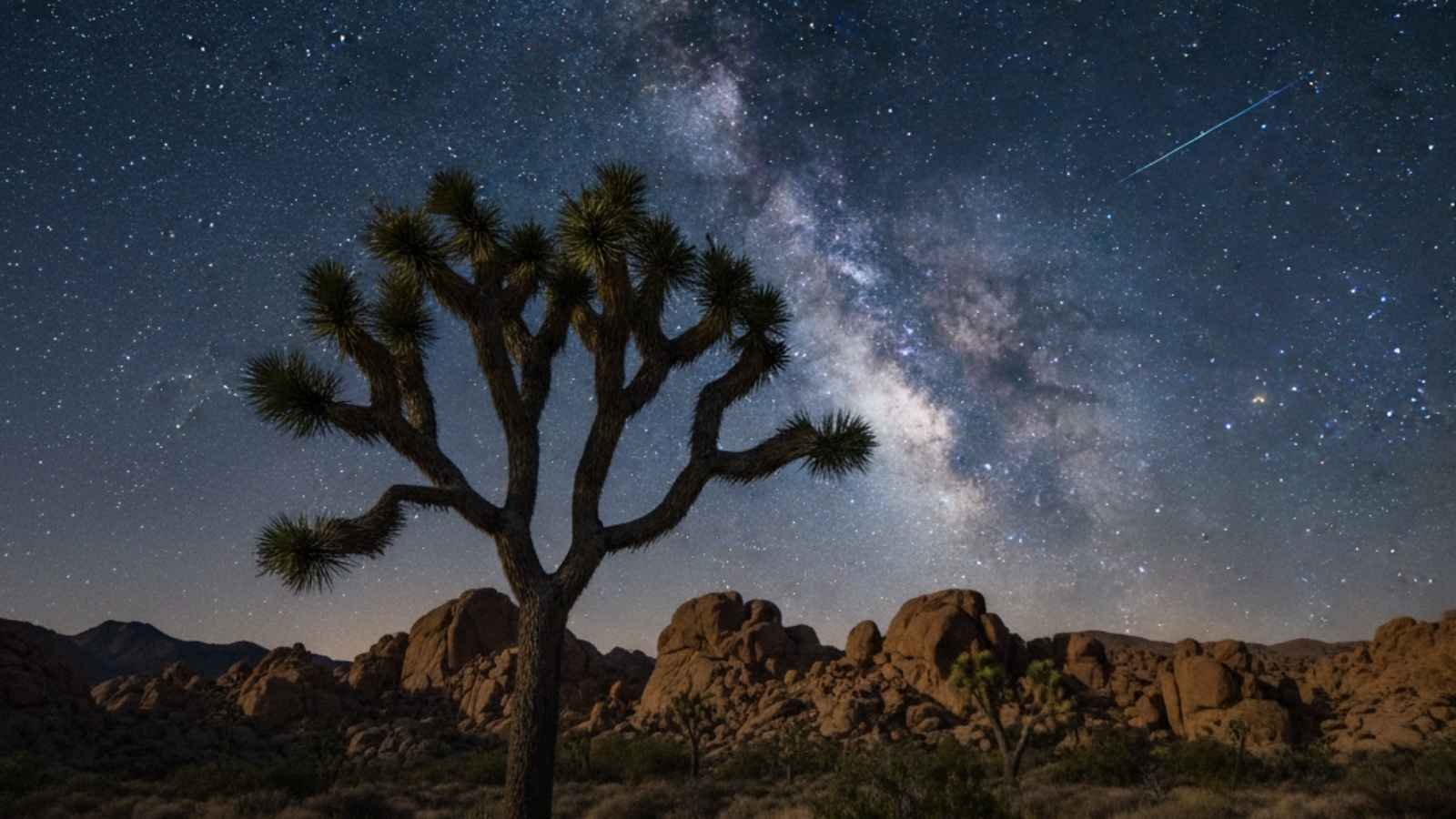 Joshua Tree National Park — Hidden Gem: Anza-Borrego Desert State Park