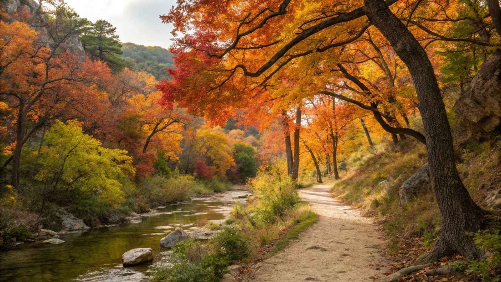 Lost Maples State Natural Area