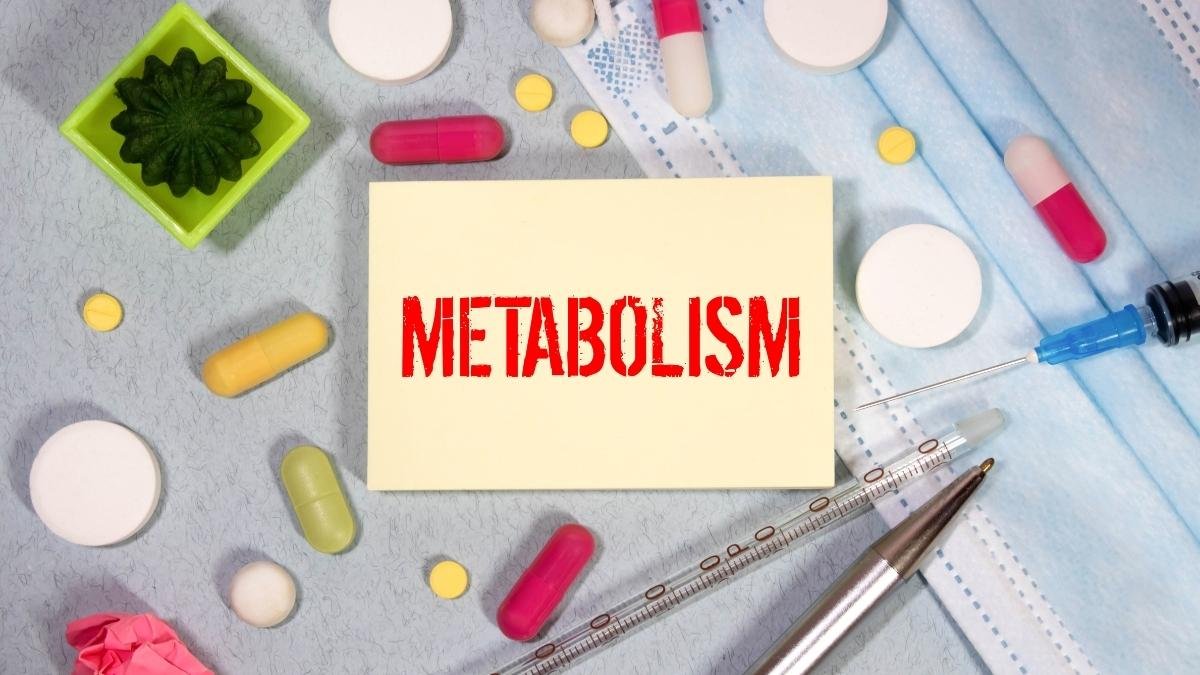 Mastering Your Metabolism