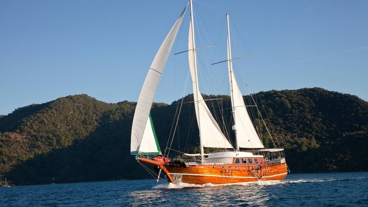 Sail Smart and Actually Enjoy Your Vacation