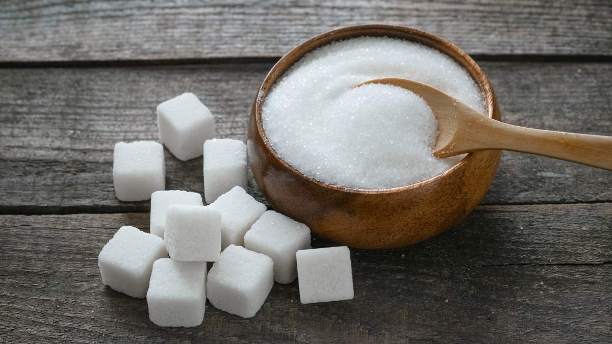 The Glycan Signature: The Secret Sugar Code of Your Immune System