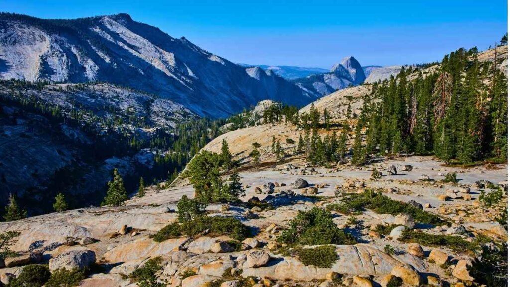 Sentinel Dome Trail — Yosemite National Park