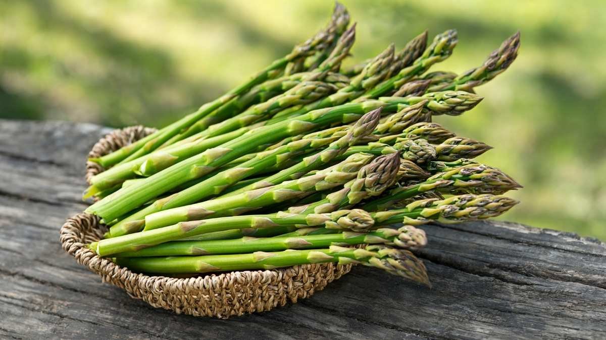 Asparagus: The Seasonal Treat