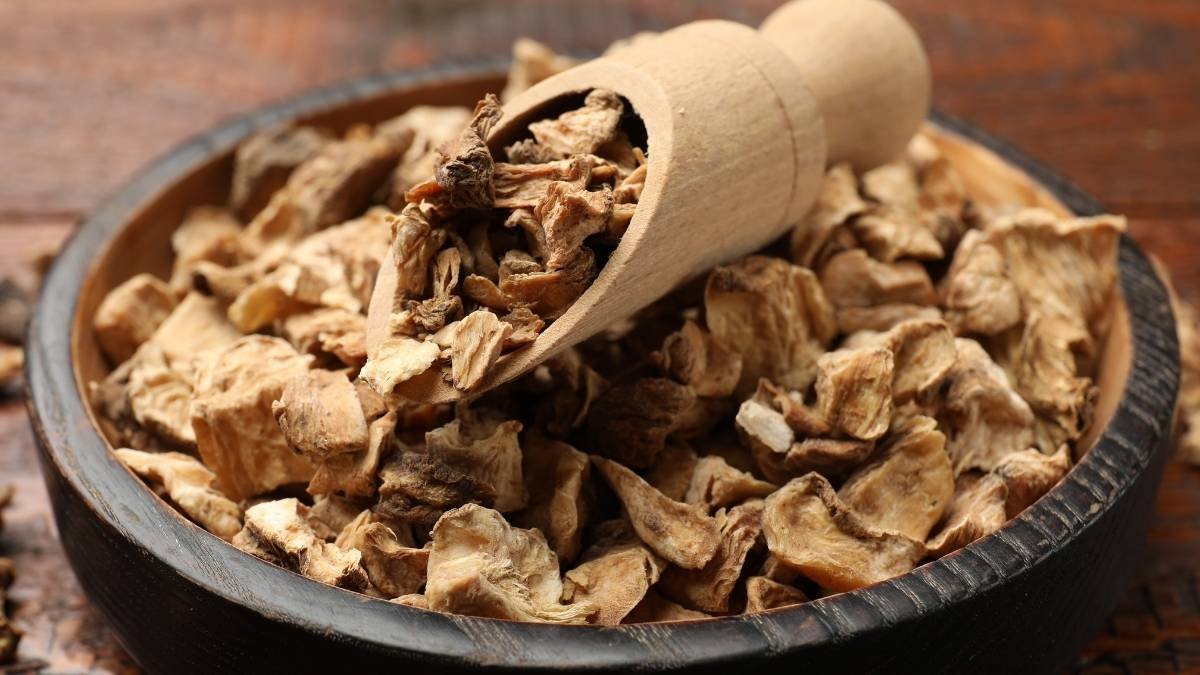 Chicory Root: The Heavy Lifter