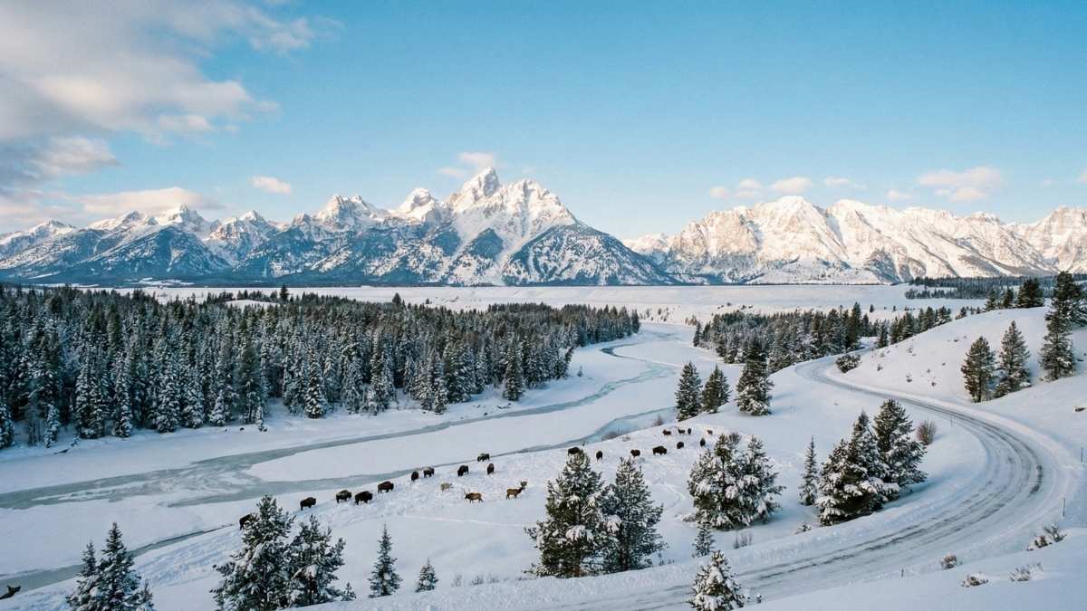 Grand Teton National Park