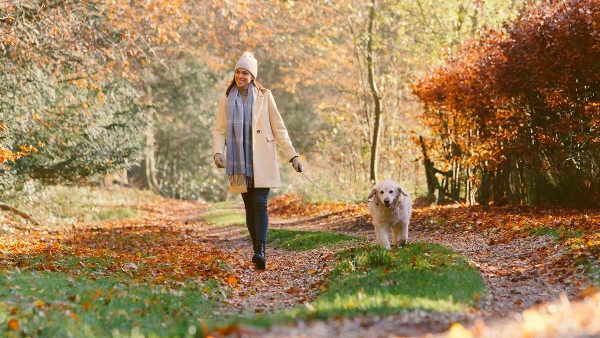  The "Kinetic Sponge" (Move Immediately)