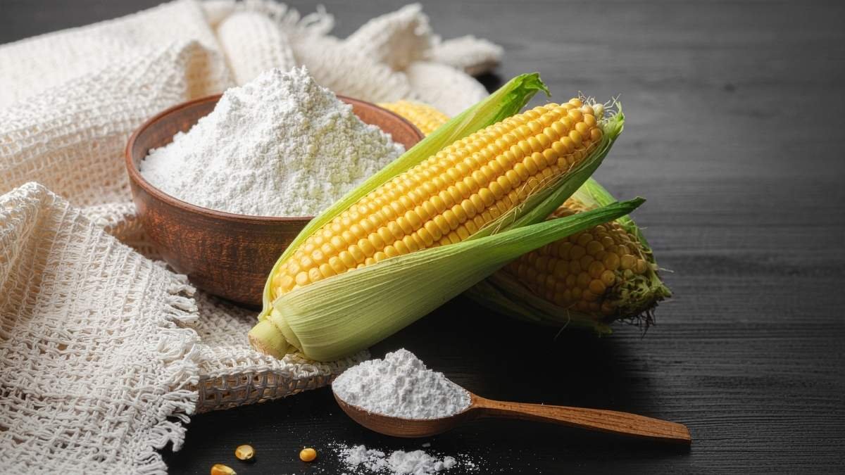 The Starch Modification (Maltodextrin)