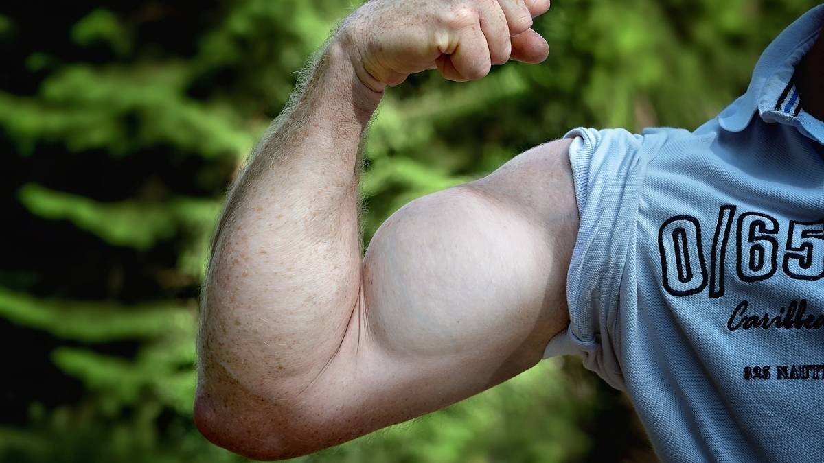 Your Muscle Is a "Smart Organ" That Talks to Your Body