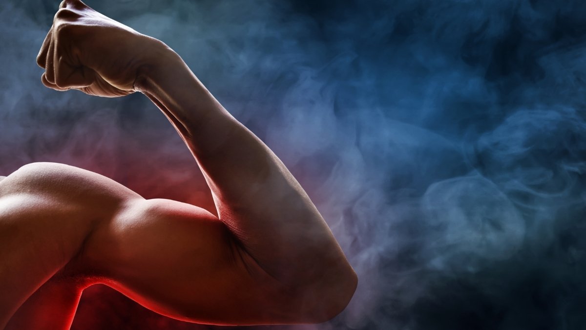 Why this works: The "Muscle as a Glucose Sponge"