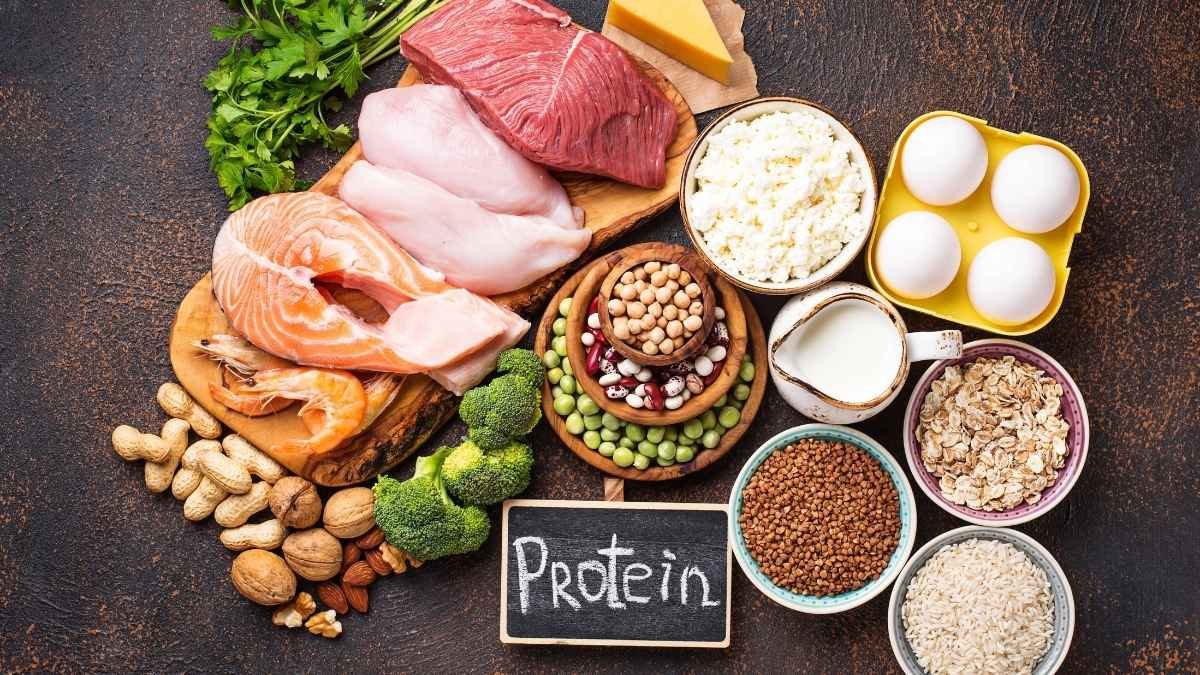 Your New Protein Playbook: A Practical Guide to Hitting Both Windows