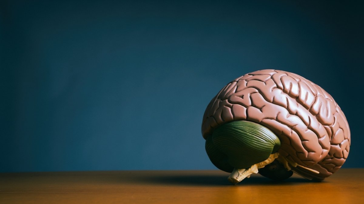 Why Optic Flow Works