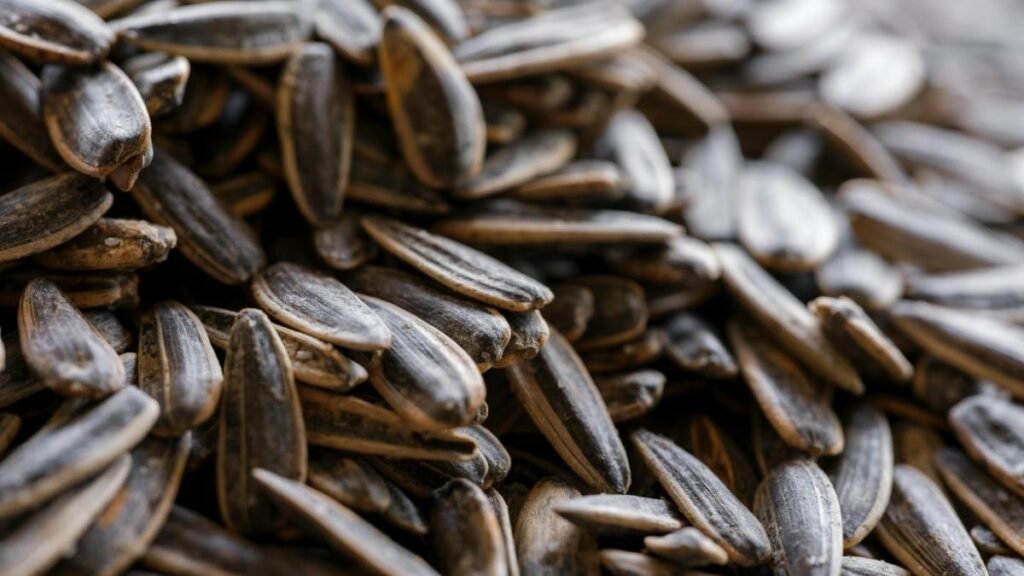 The Great Sunflower Seed 'Myth'