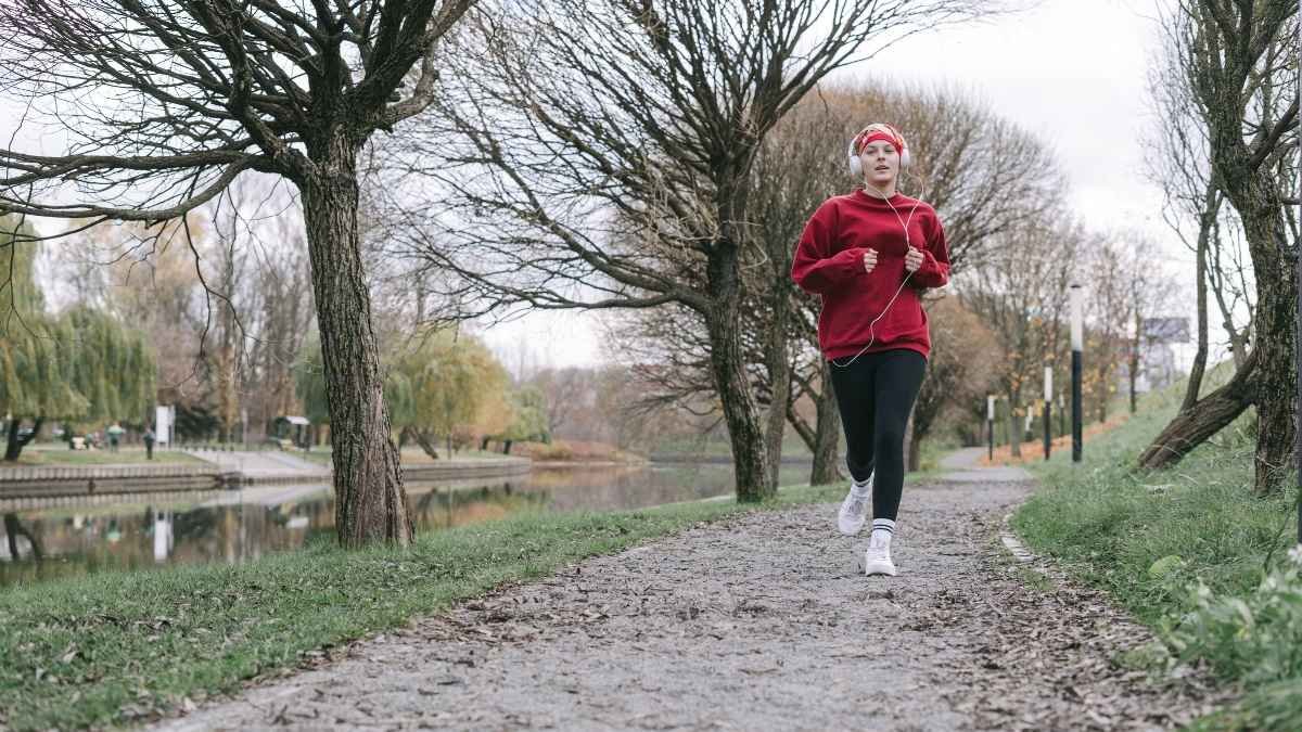 The 3,000-Step Brain Minimum