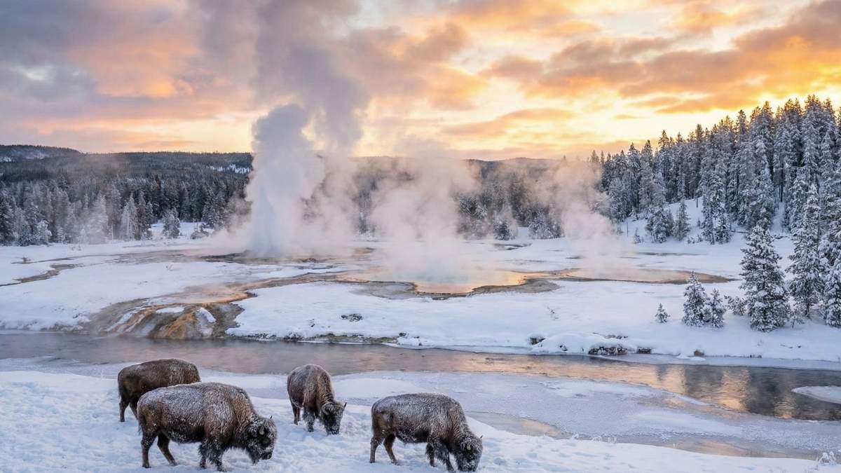 Yellowstone National Park
