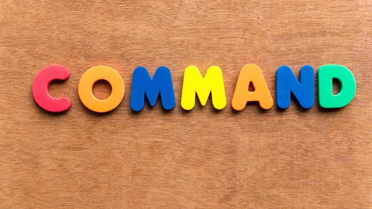 Your Body’s Two Competing Command Centers