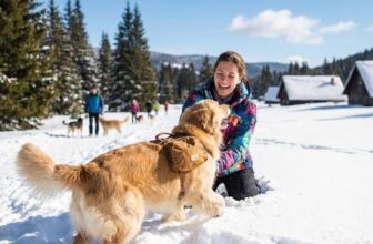 11 Winter Vacations Where Your Dog Is the Main Character (Not Just 'Allowed')