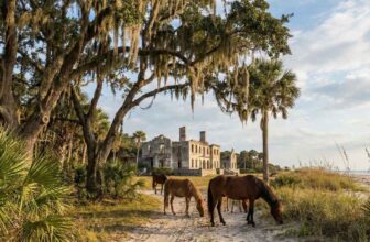 America's 8 Most 'Silent' Spots: Where to Go When You Need Absolute Peace and Quiet
