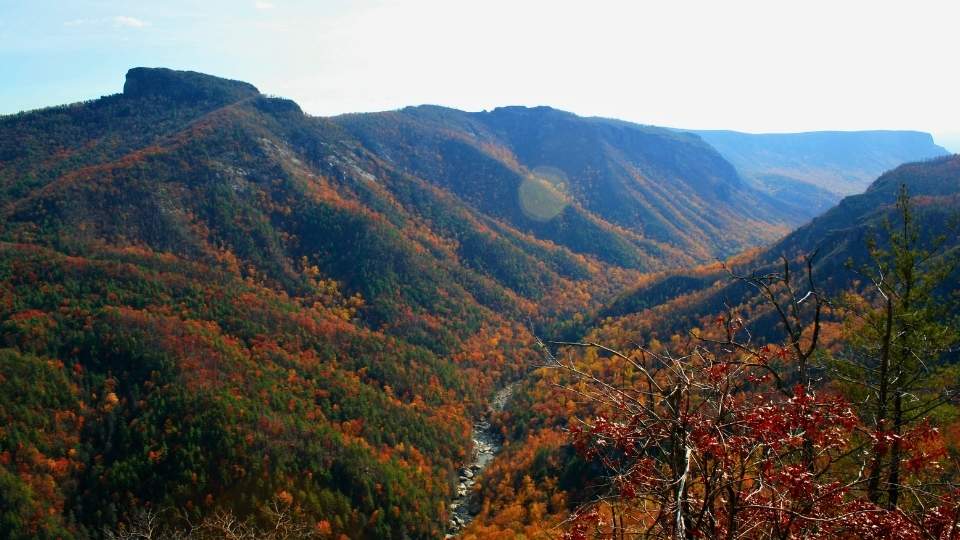 Asheville, North Carolina — Mountain Blooms & Easy Blue Ridge Paths