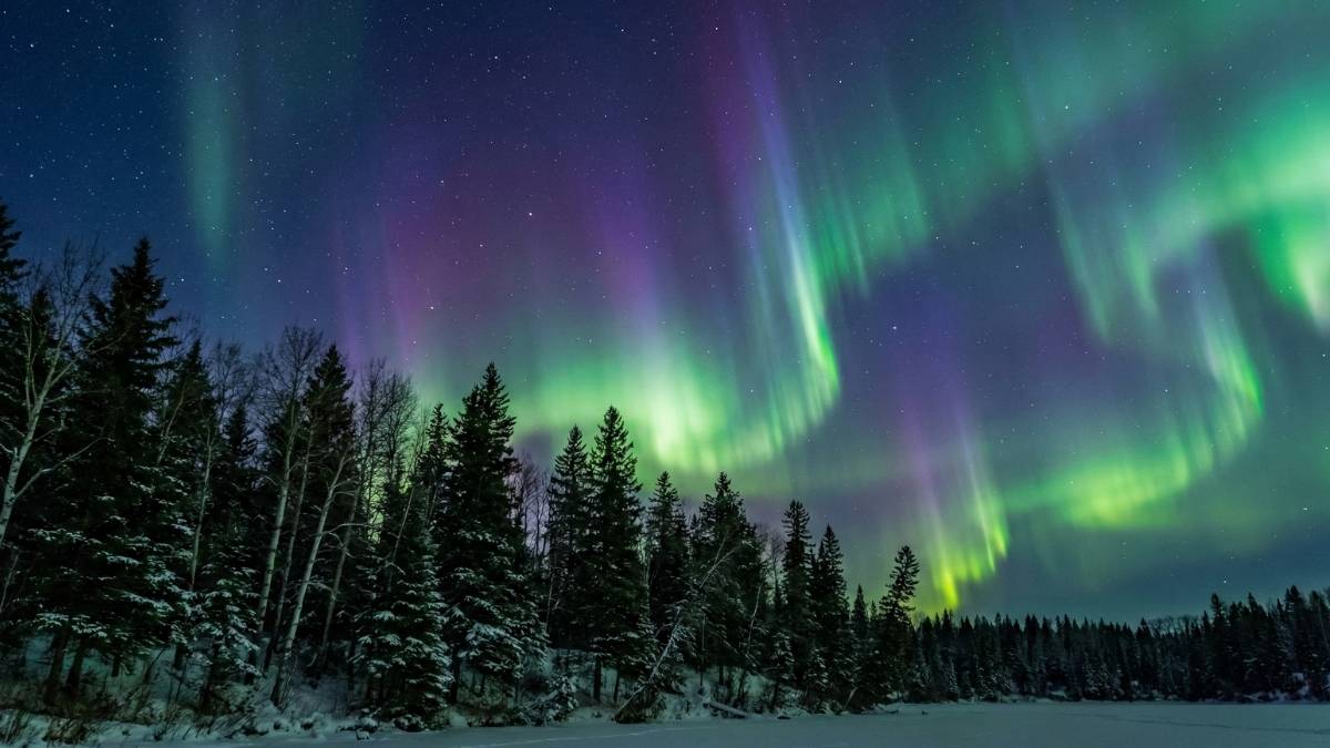 Boreal Forest Region, North Dakota