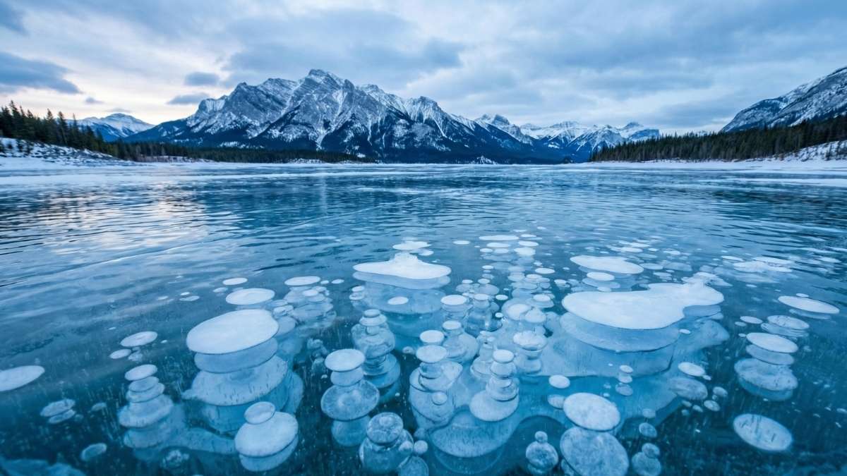 Frozen Bubble Formations (Alberta, Canada – particularly Abraham Lake)