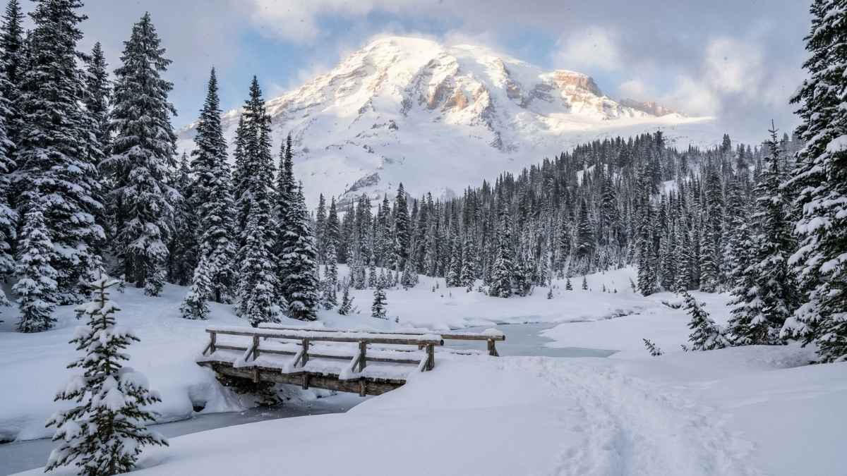 Mt. Rainier National Park (Avoid in Winter)