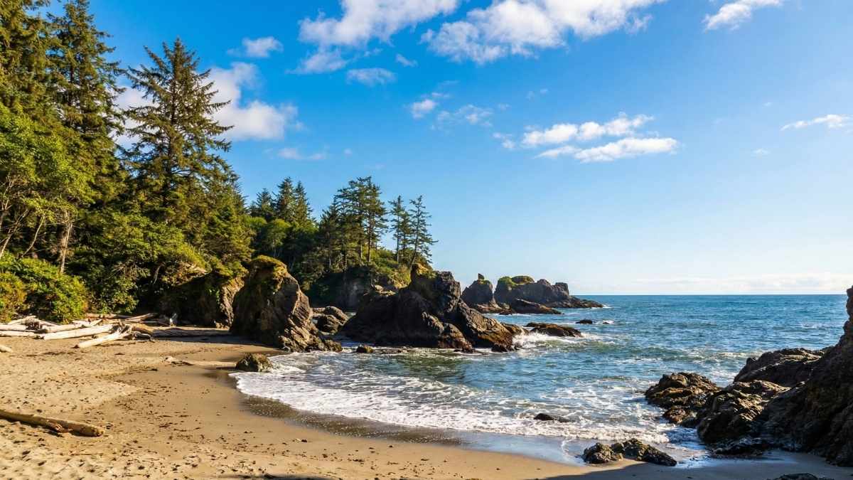Olympic Peninsula (Quiet Coastal Zones), Washington