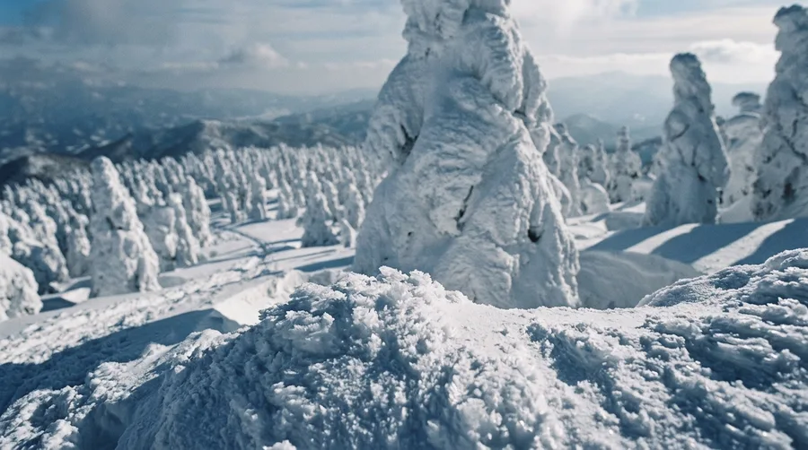 Marvel at Zao Onsen's Snow Monsters
