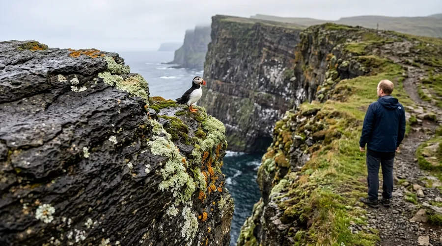 Watch Seabirds Along the Latrabjarg Cliffs