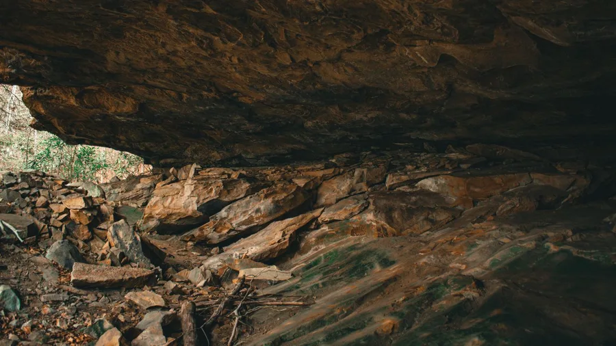 Shelter Was Cognitive Engineering Applied to Whatever the Landscape Offered
