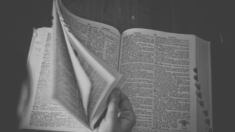 Homonymy Exploits Multiple Word Meanings