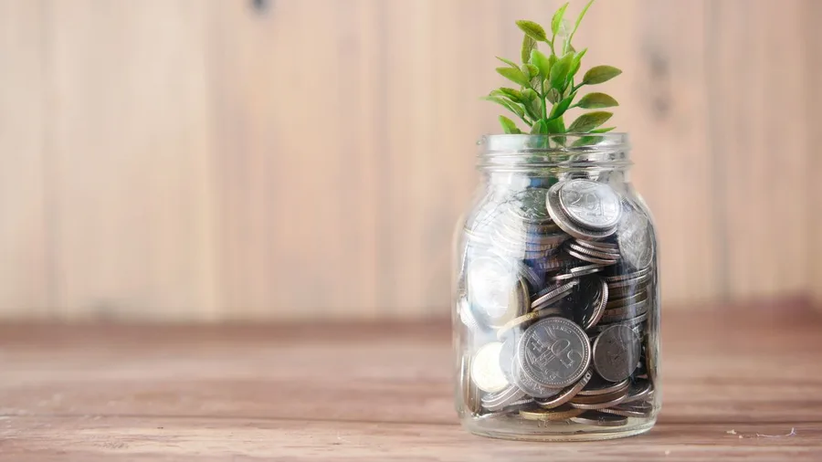 We Feel Future Savings Less Than Present Pain